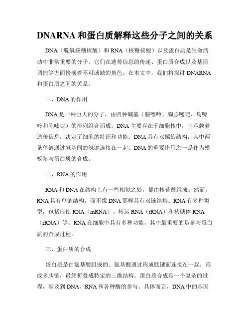 DNARNA和蛋白质解释这些分子之间的关系