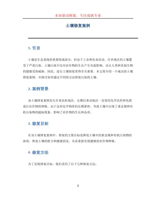 土壤修复案例 (3)