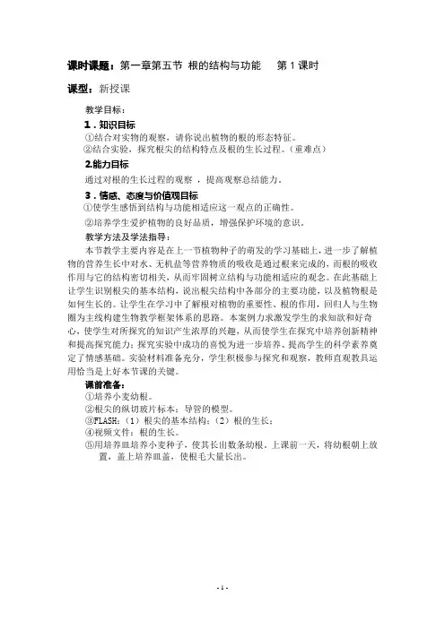 根的结构与功能