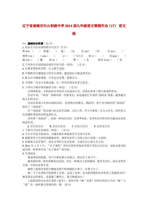 辽宁省凌海市石山初级中学九年级语文寒假作业(17)(无答案) 语文版