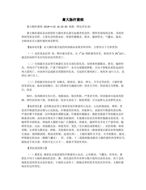 禽大肠杆菌病