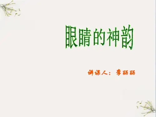 初中作文指导：《眼睛的神韵》ppt(完美版)