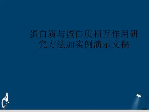 蛋白质与蛋白质相互作用研究方法加实例演示文稿