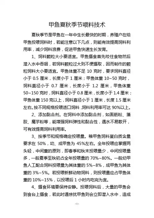 甲鱼夏秋季节喂料技术