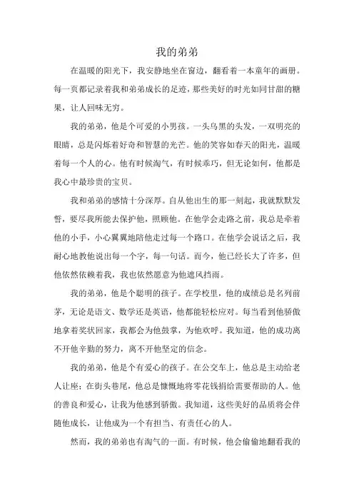 小学生作文：我的弟弟