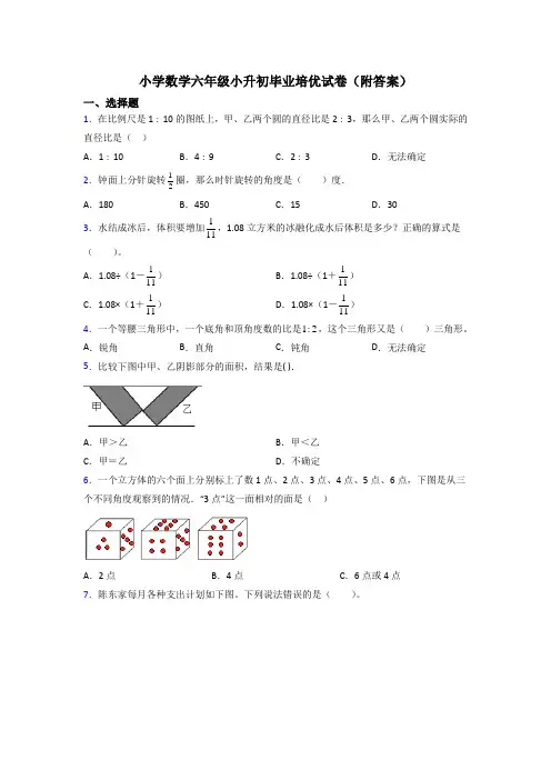 小学数学六年级小升初毕业培优试卷(附答案)