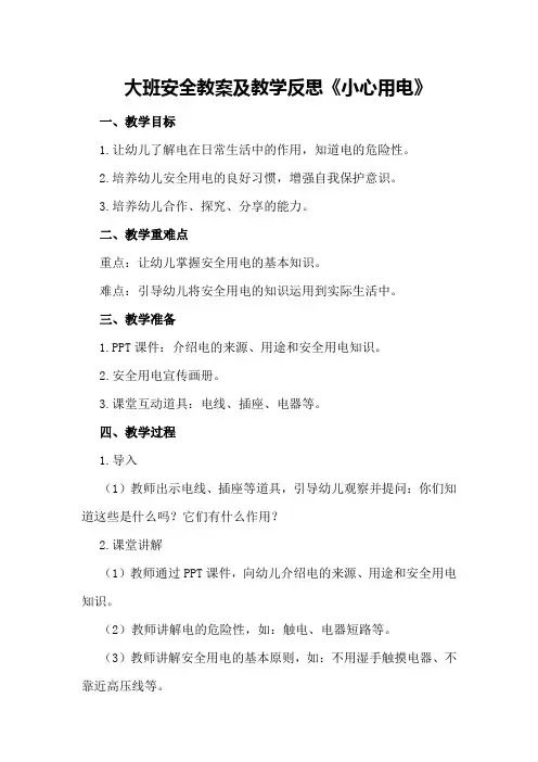 大班安全教案及教学反思《小心用电》