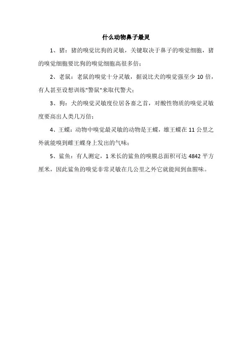 什么动物鼻子最灵