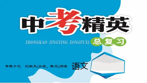 中考精英语文总复习记叙文(小说、散文)阅读
