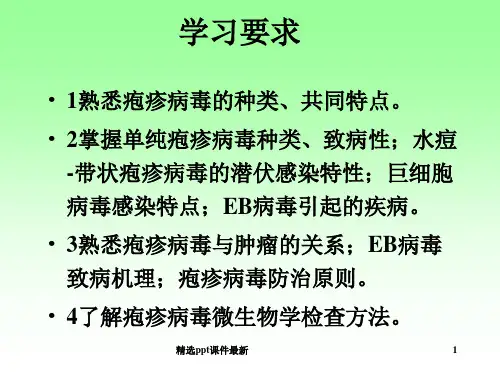 医学微生物学疱疹病毒PPT课件