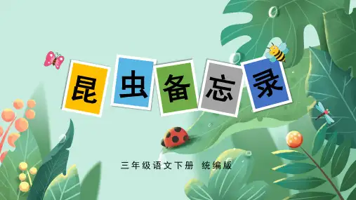 小学语文 三年级下册 第4课《昆虫备忘录》(教学课件)-( 统编版)