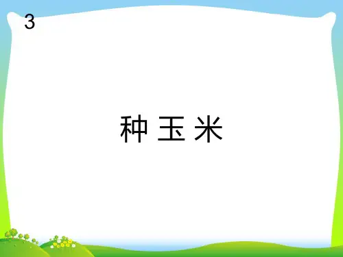 人教版二年级音乐上册：种玉米(简谱).ppt