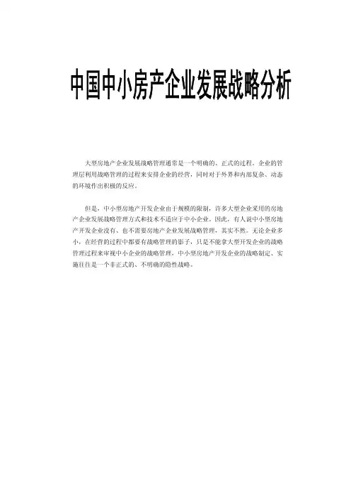 中国中小房地产企业发展战略分析报告