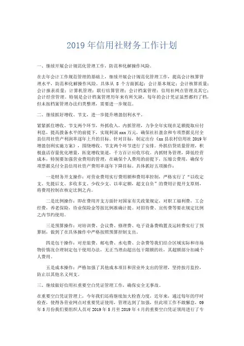 最新-2019年信用社财务工作计划 精品002