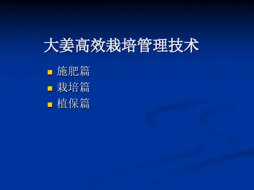 大姜高效栽培管理技术(1)