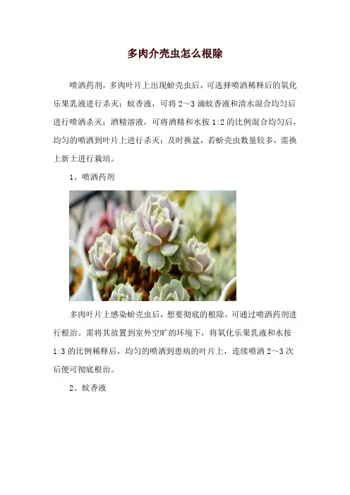 多肉介壳虫怎么根除