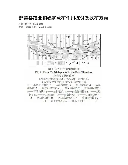 鄯善县路北铜镍矿成矿作用探讨及找矿方向
