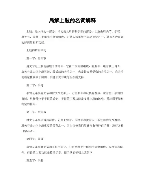 局解上肢的名词解释