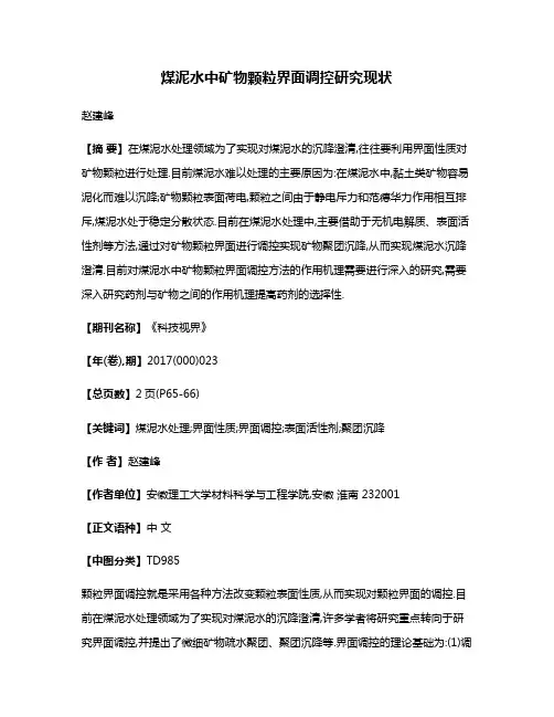 煤泥水中矿物颗粒界面调控研究现状