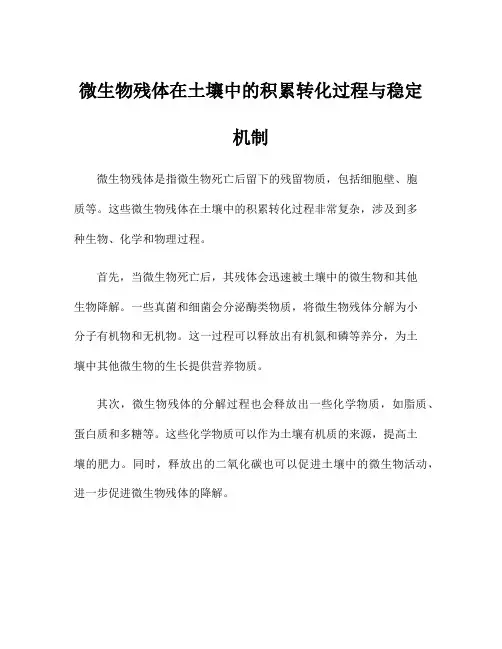 微生物残体在土壤中的积累转化过程与稳定机制