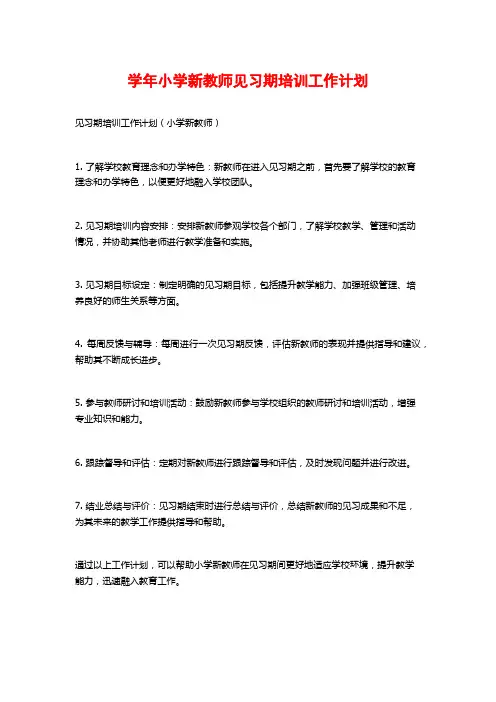 学年小学新教师见习期培训工作计划