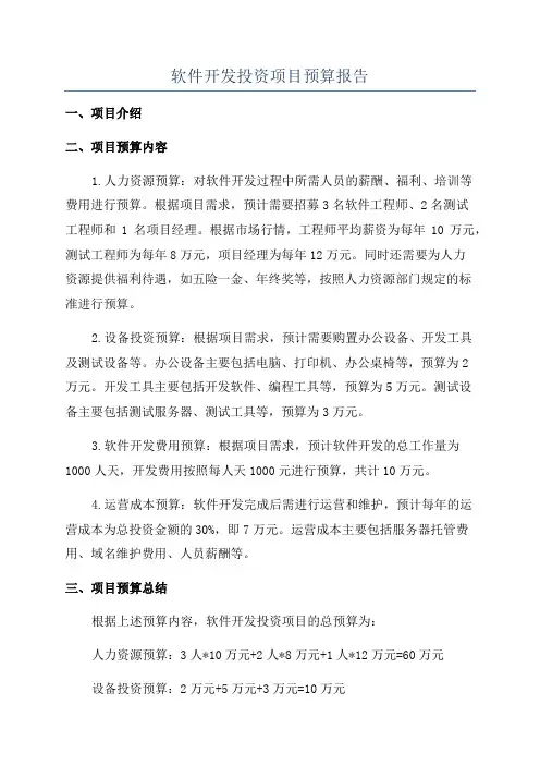 软件开发投资项目预算报告