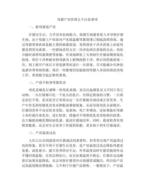 母猪产房管理五个注意事项