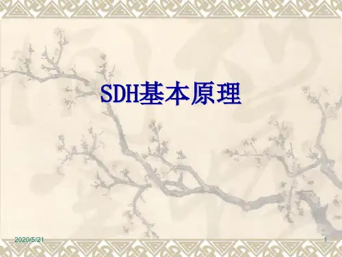 SDH原理(通俗版)汇总
