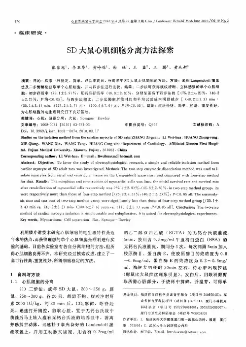SD大鼠心肌细胞分离方法探索