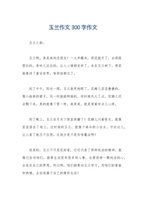 玉兰作文300字作文