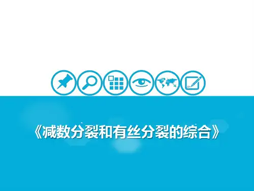 细胞的生命历程 减数分裂和有丝分裂的综合 课件 2021届高考一轮复习生物