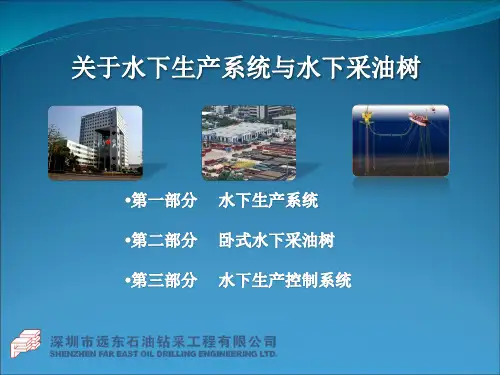水下生产系统与采油树课件