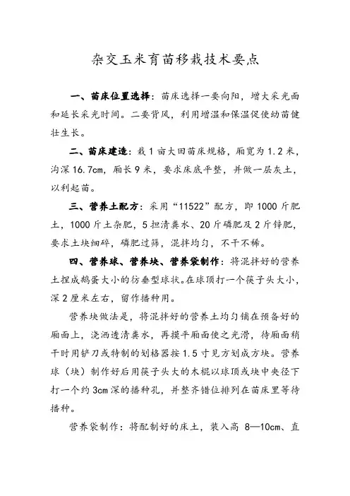 杂交玉米育苗移栽技术要点