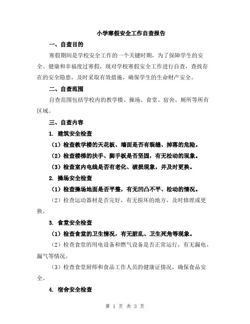 小学寒假安全工作自查报告