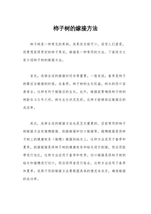柿子树的嫁接方法