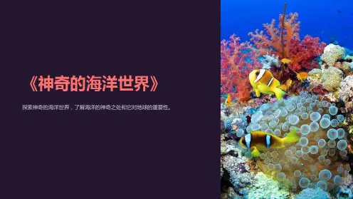 《神奇的海洋世界》课件
