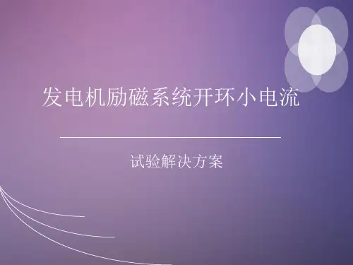 发电机励磁系统小电流试验方案ppt课件