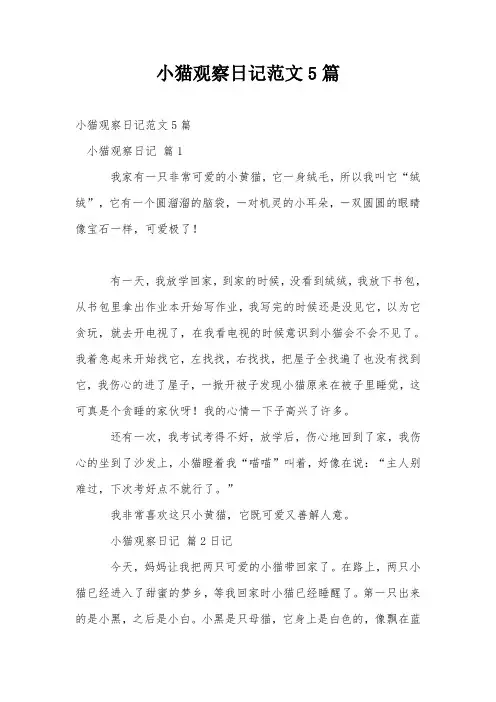 小猫观察日记范文5篇
