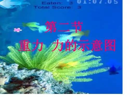 8.2重力 力的示意图课件
