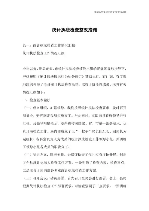 统计执法检查整改措施_0
