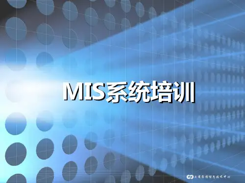 MIS系统培训课件(超市)