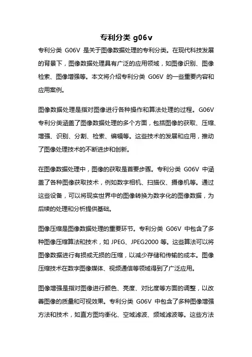 专利分类 g06v
