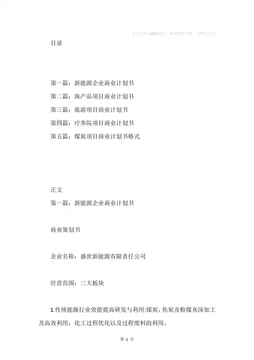 新能源项目商业计划书