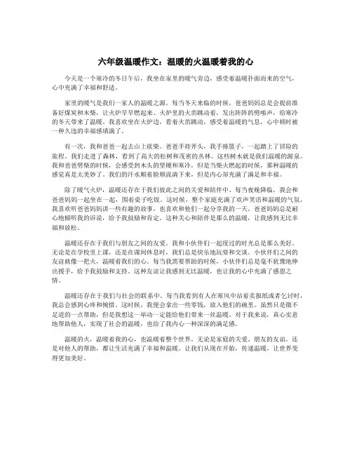 六年级温暖作文：温暖的火温暖着我的心