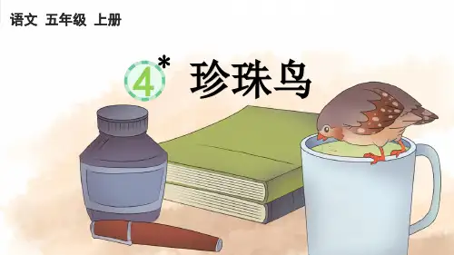 人教部编版五年级语文上册第一单元第4课《珍珠鸟》课件