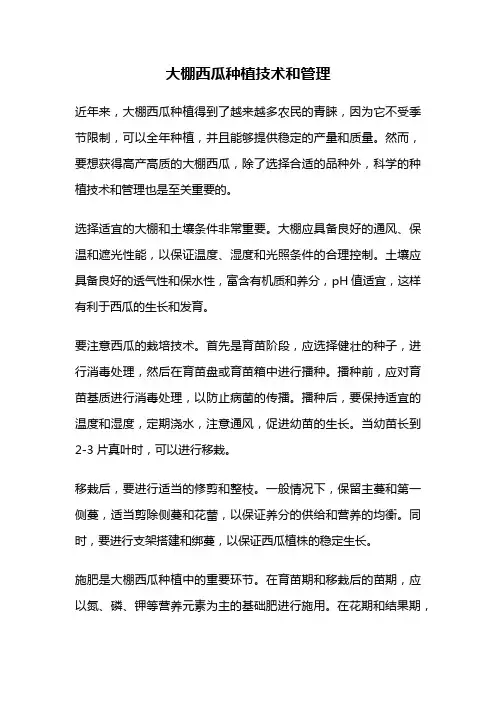 大棚西瓜种植技术和管理
