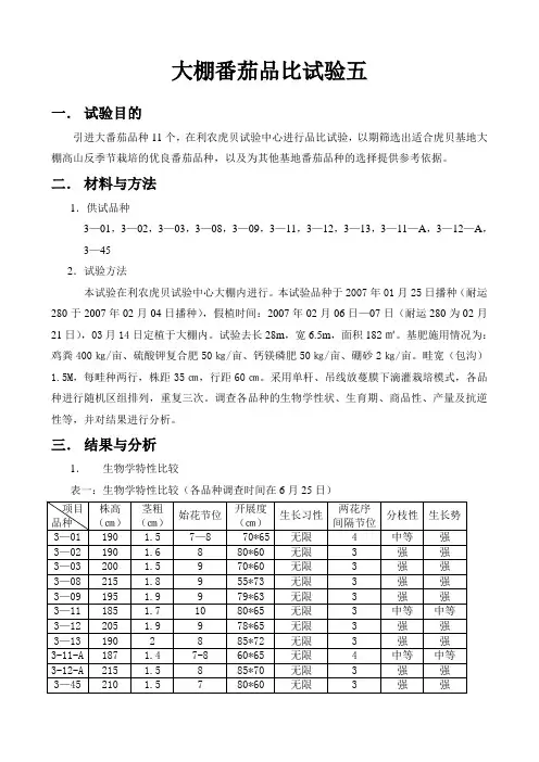 A8番茄品比试验