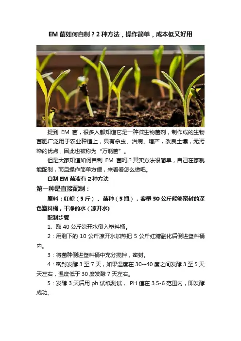 EM菌如何自制？2种方法，操作简单，成本低又好用