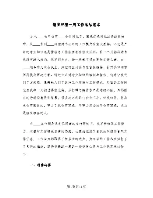 销售经理一周工作总结范本(5篇)