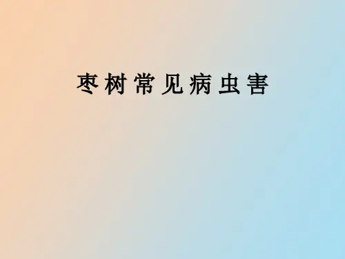 【精品课件】枣树常见病虫害